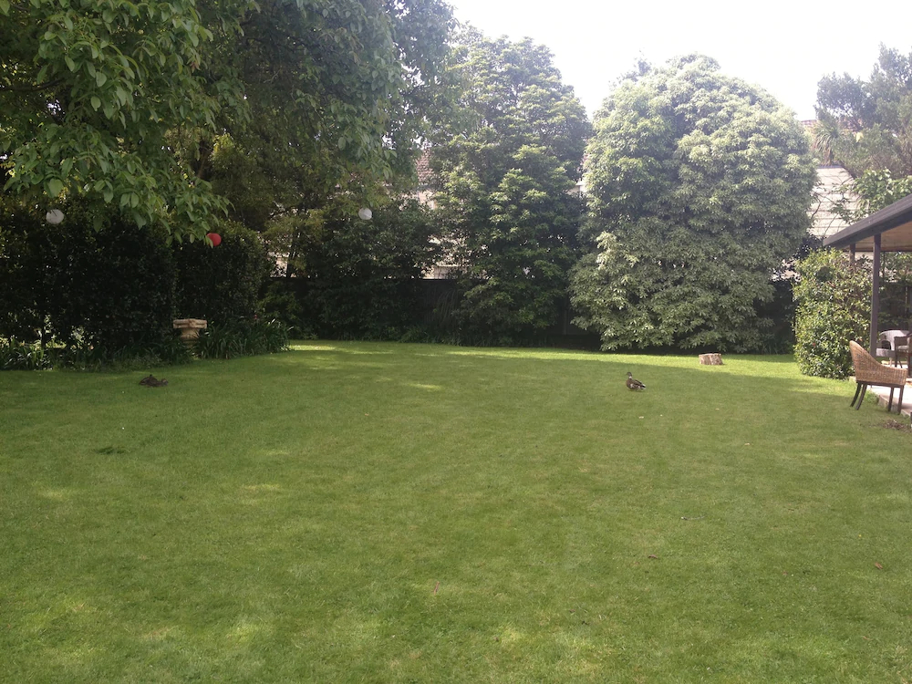Walnut Grove Lodge