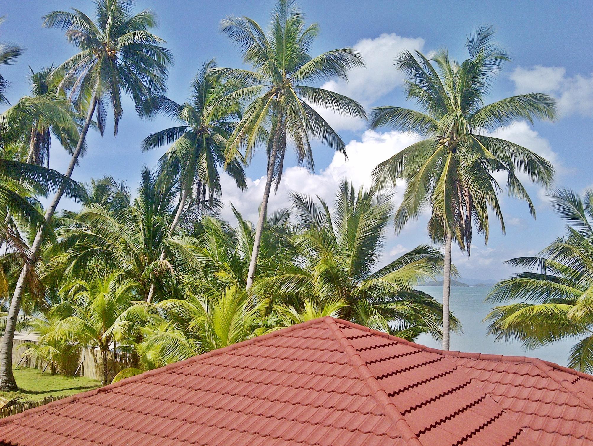 Foxy’s Beach Resort