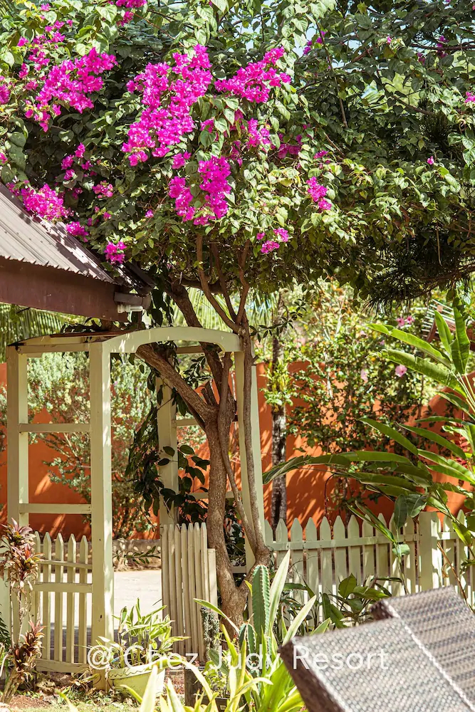 Chez Judy Resort