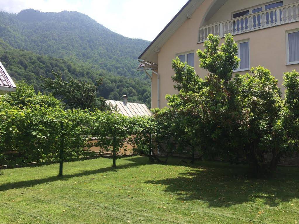 Krasnaya Polyana Hostel