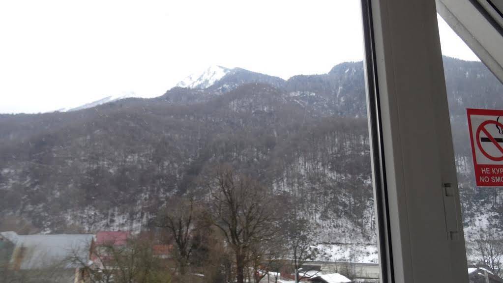 Krasnaya Polyana Hostel