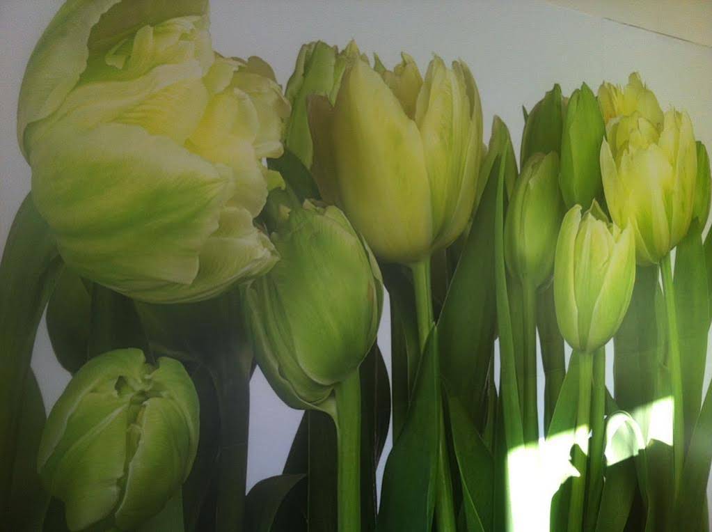Hotel Flowers