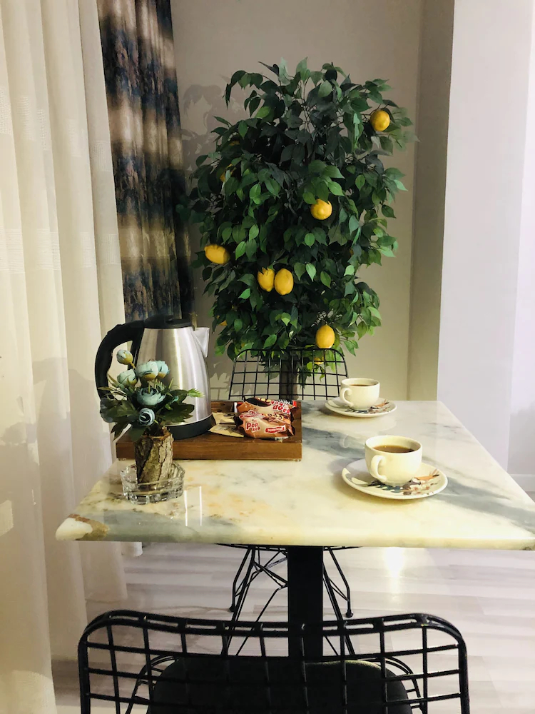 Istanbul Hotel & Suites