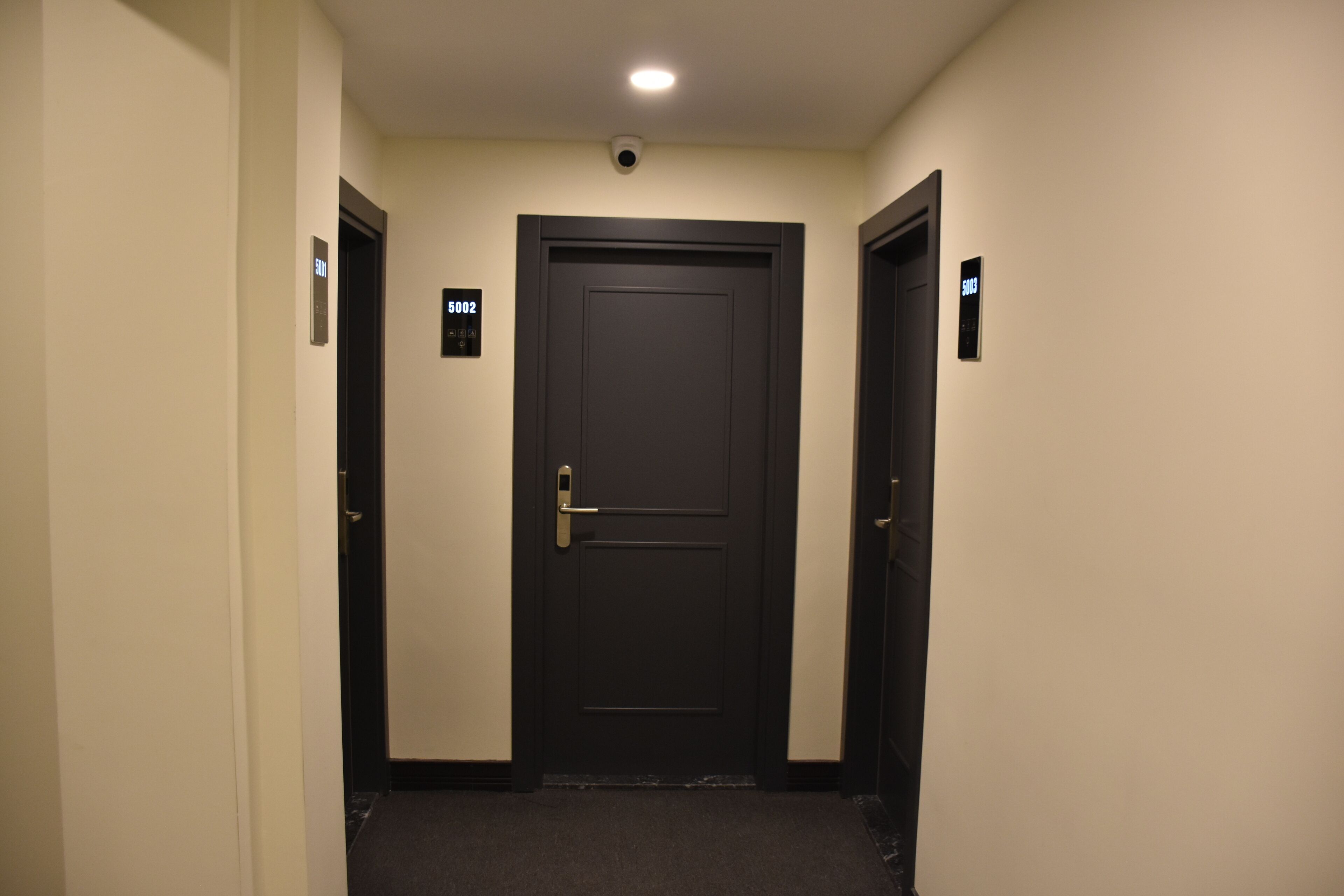 Shishly Palace Hotel