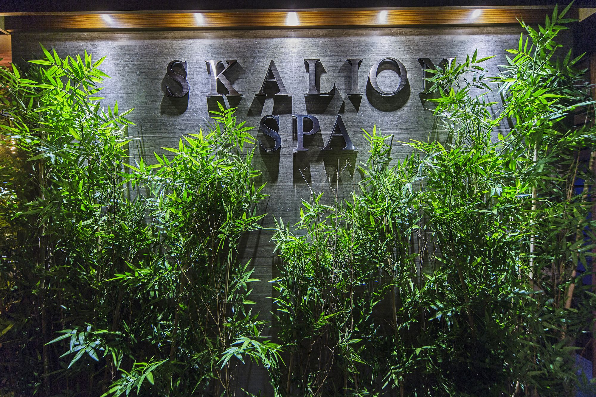 Skalion Hotel