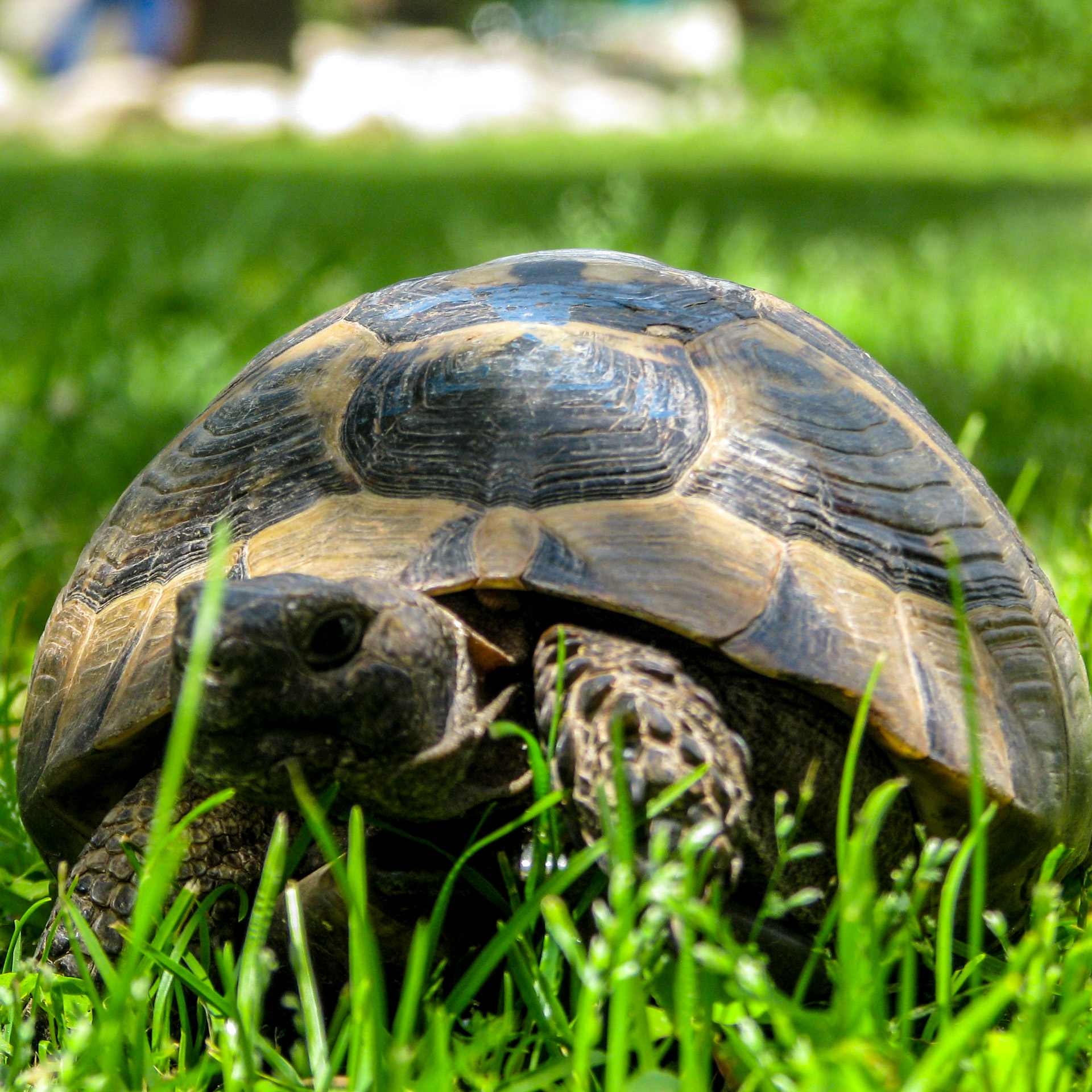 Erendiz Garden Hotel