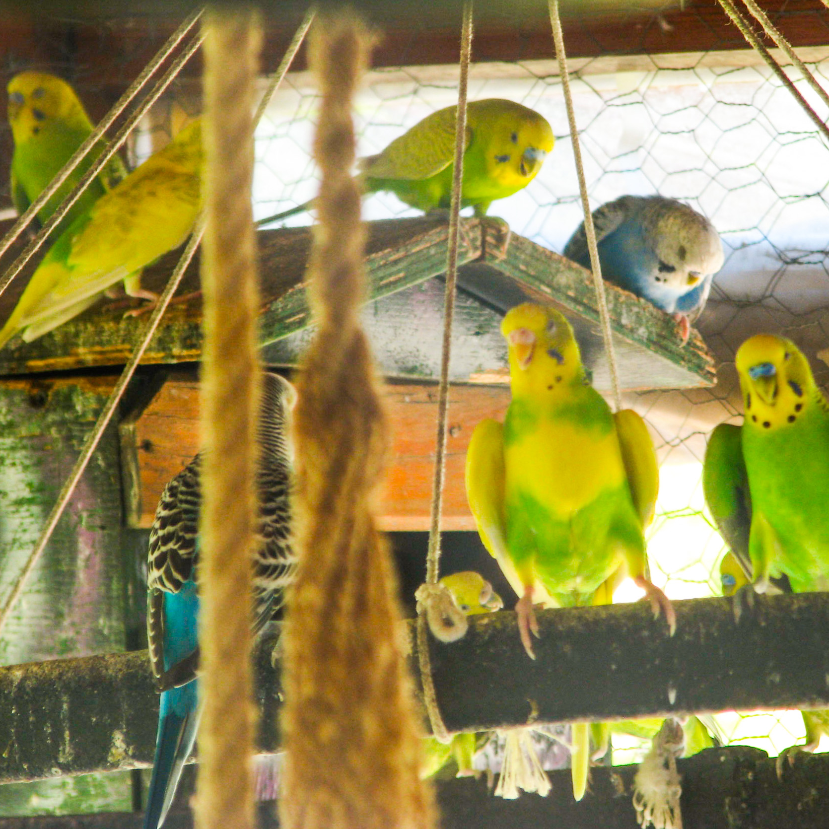 Erendiz Garden Hotel