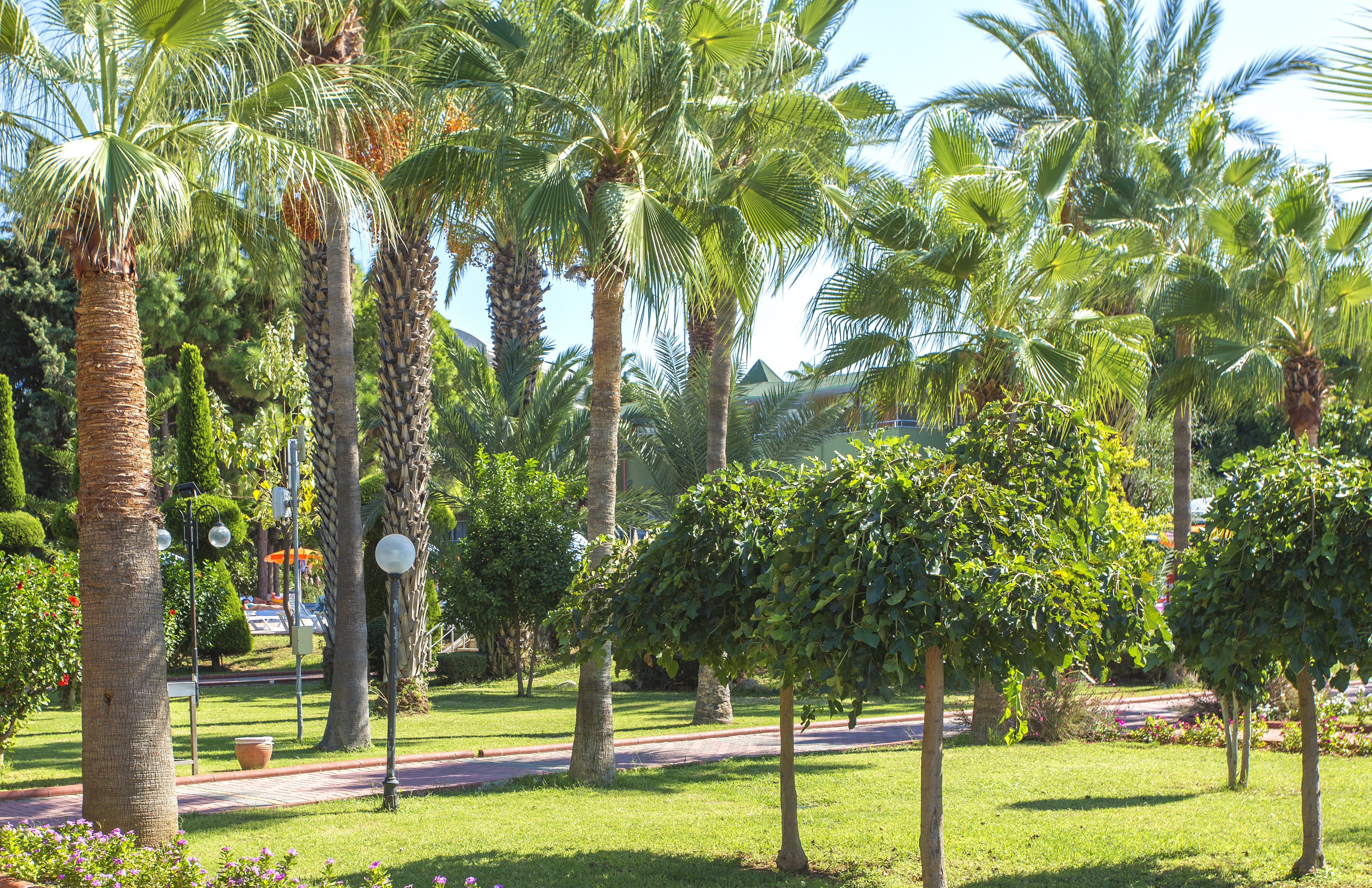 Lonicera Resort & Spa