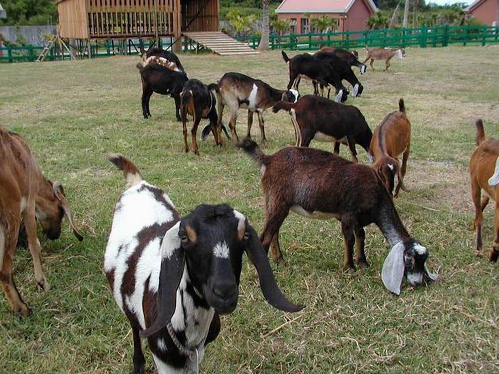 Kenting Tuscany Resort