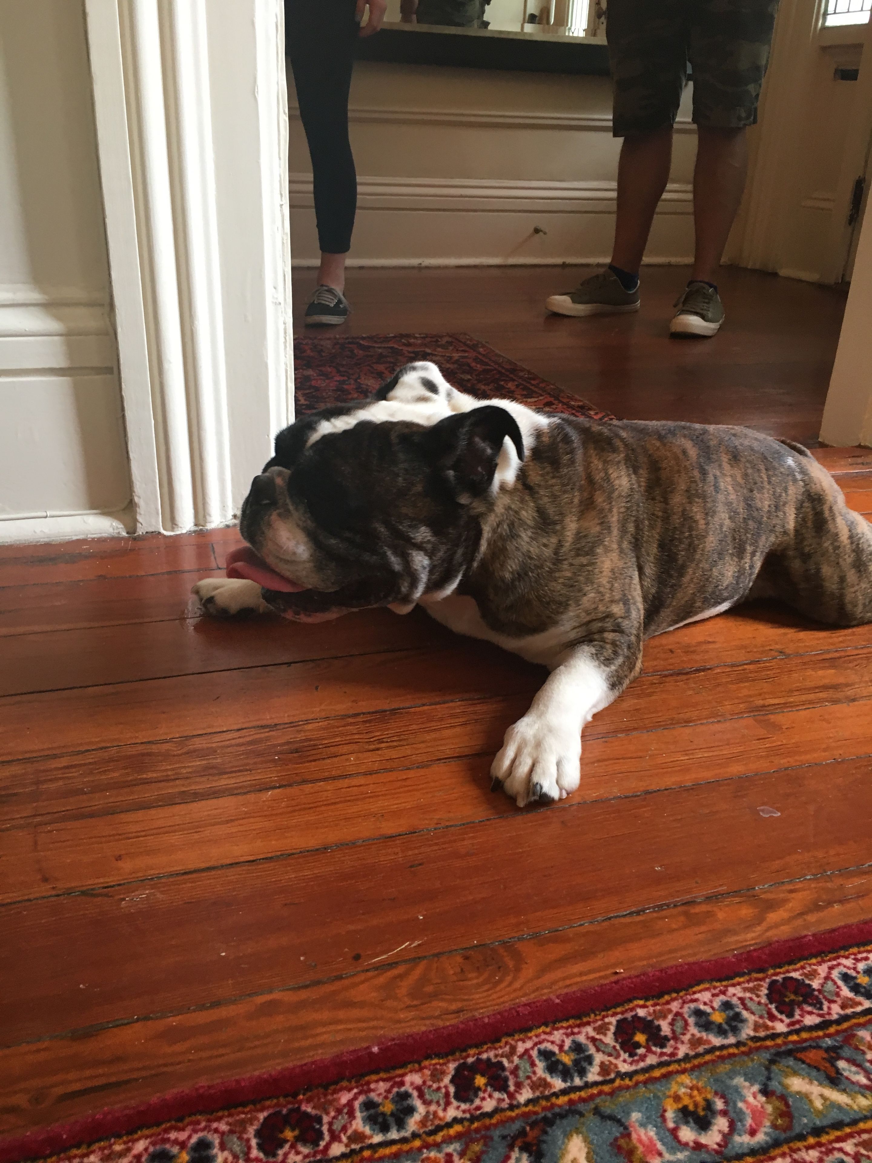 The Olde Savannah Inn