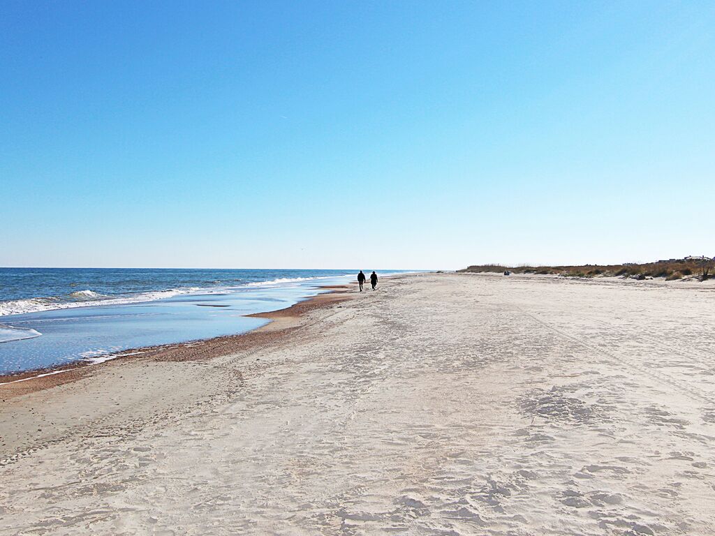 Wish Upon A Starfish