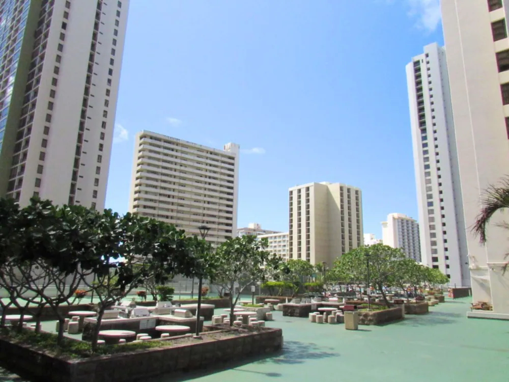 The Waikiki Banyan