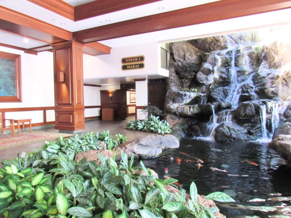 The Waikiki Banyan