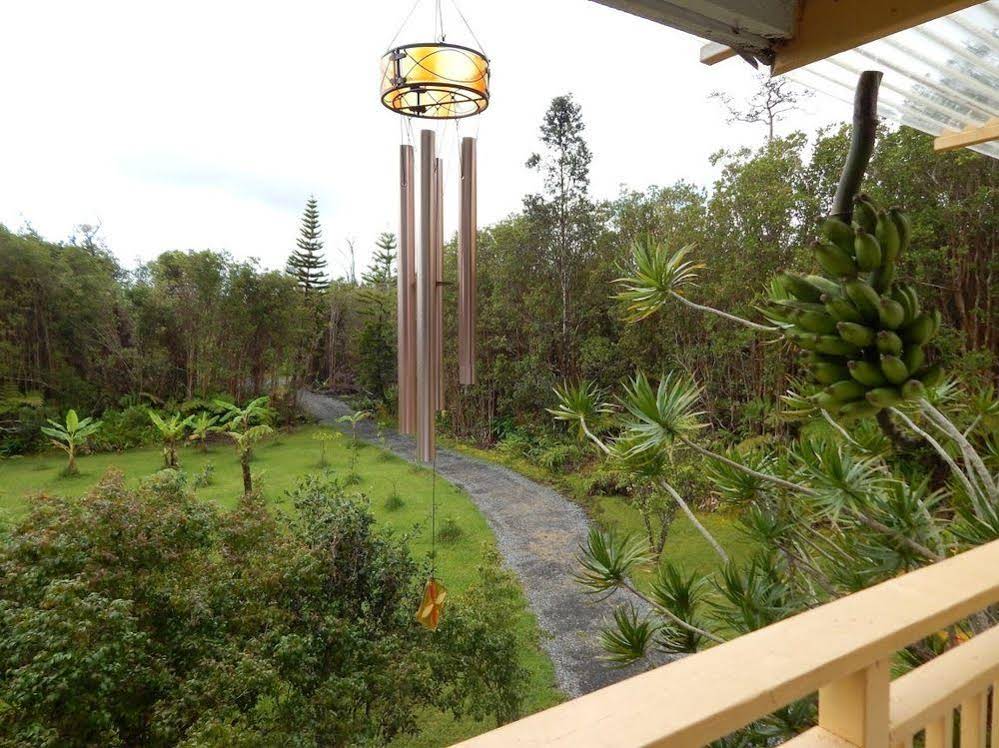Fern Forest Getaway