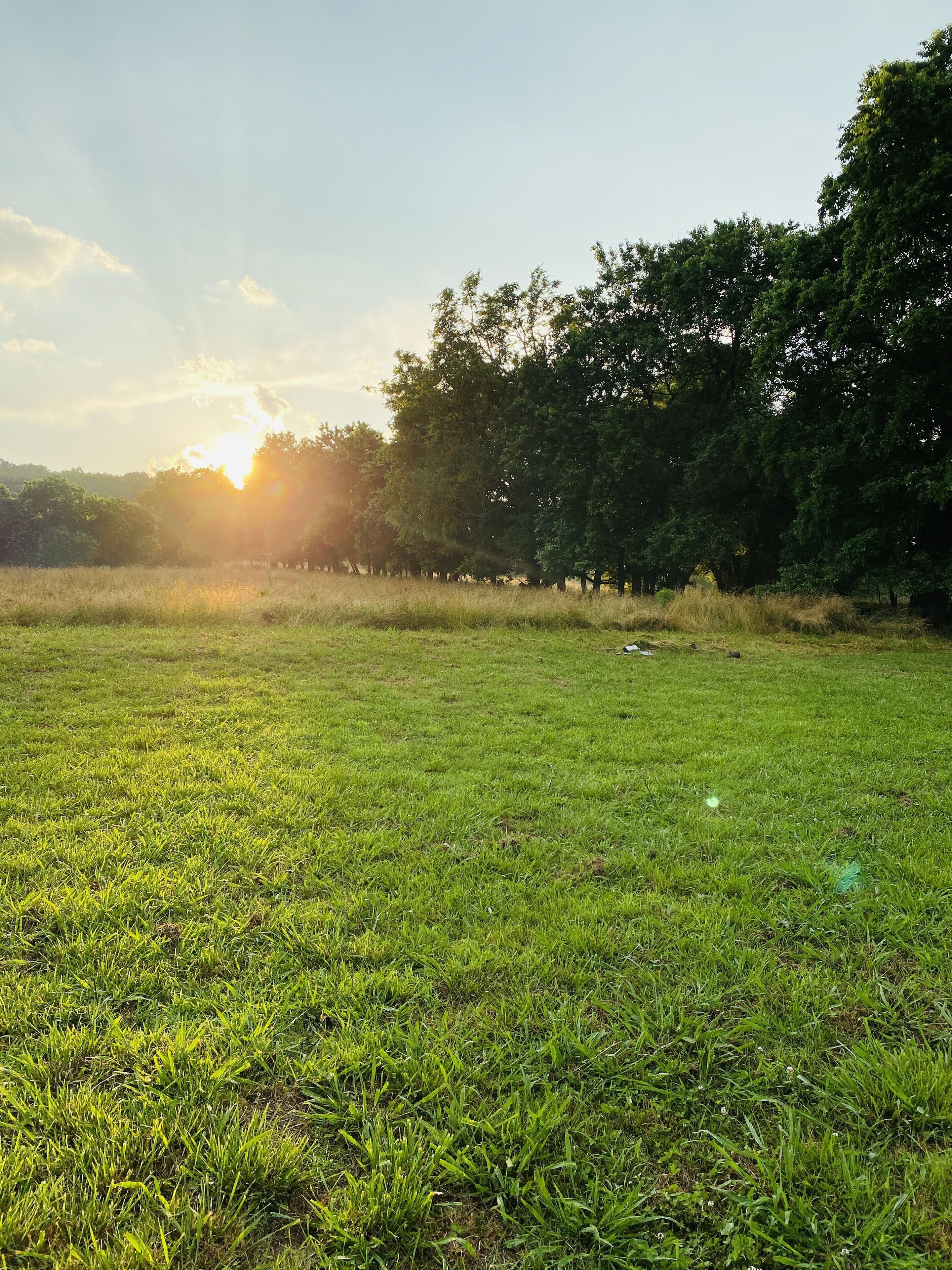 The Hopestead Bed & Breakfast