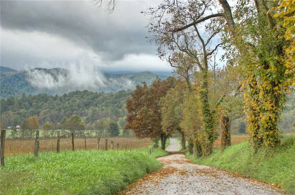 Timeless Mountain View