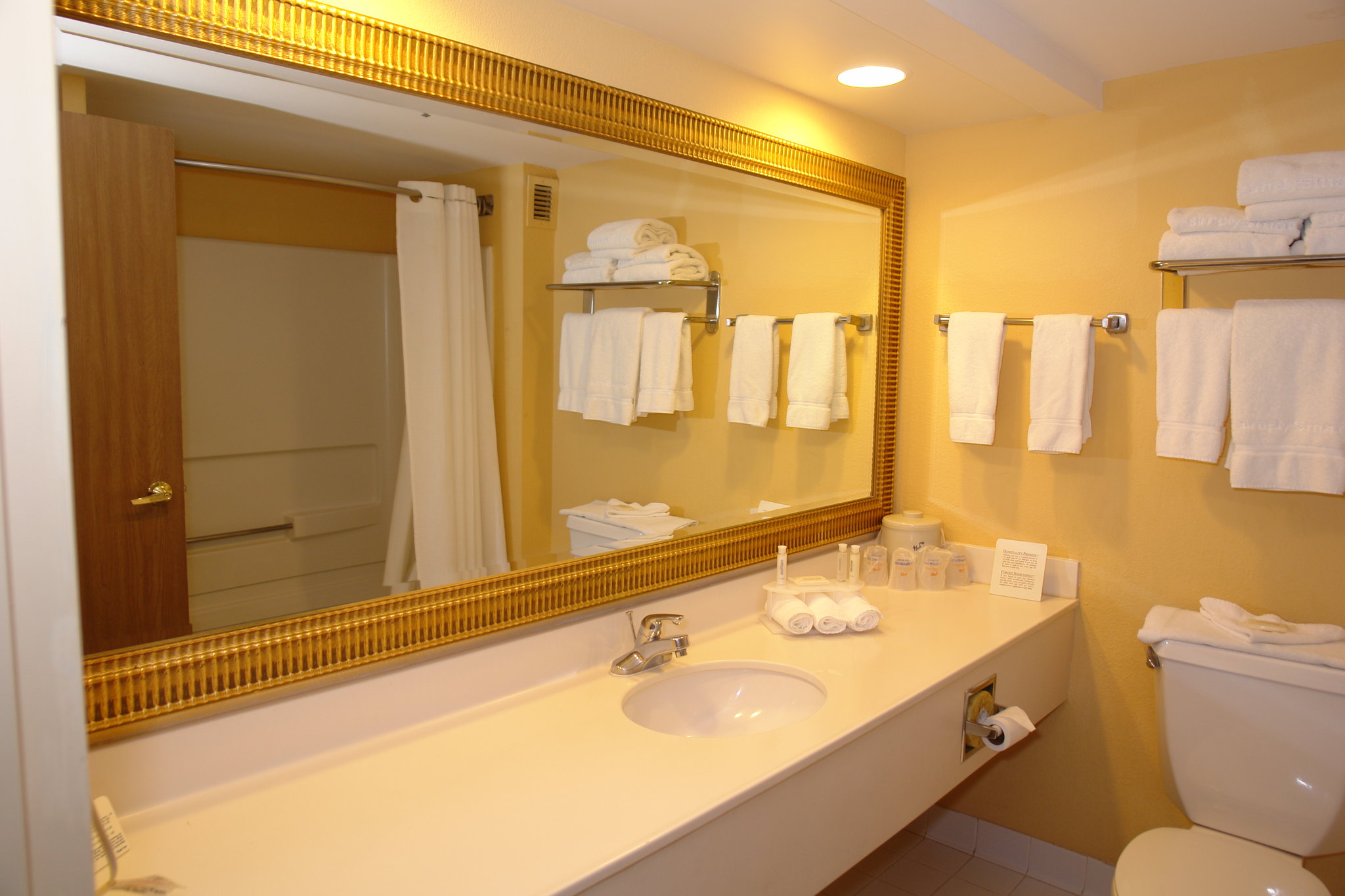 Holiday Inn Express Pigeon Forge / near Dollywood