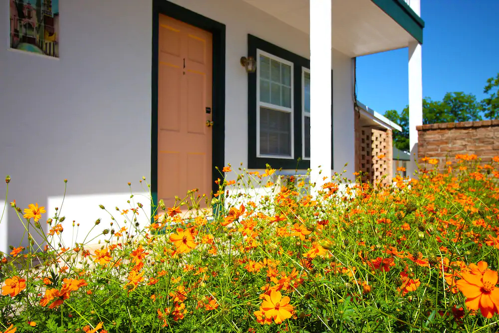 Peach Tree Inn & Suites