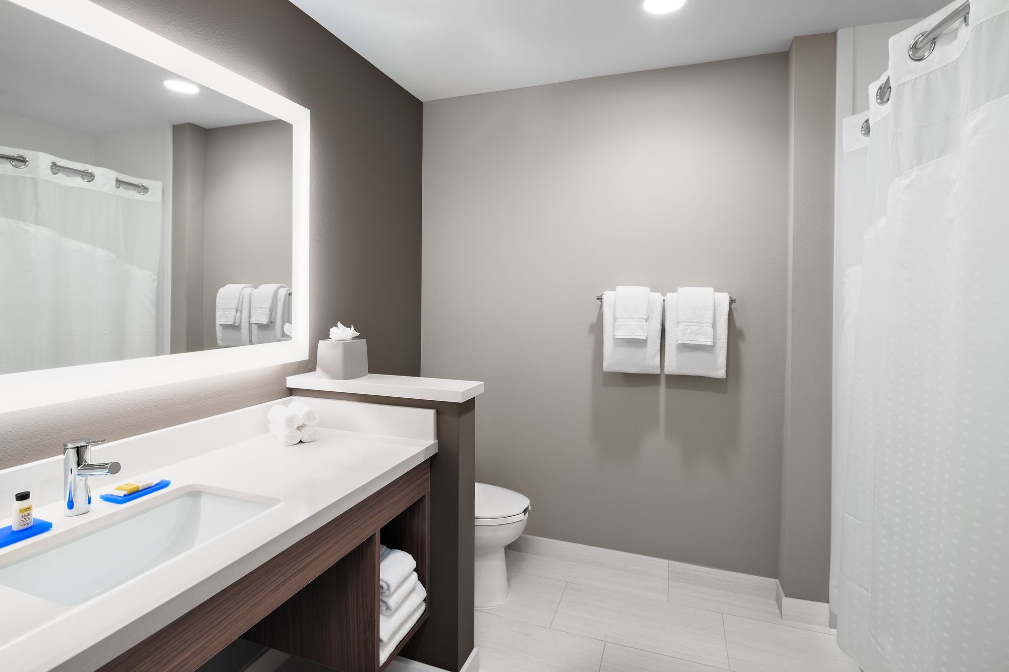 Holiday Inn Express & Suites Lubbock Central - Univ Area
