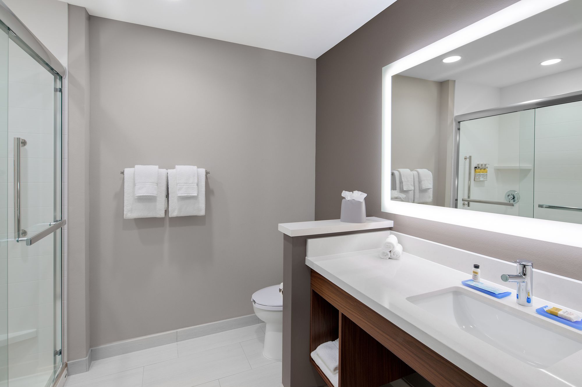Holiday Inn Express & Suites Lubbock Central - Univ Area