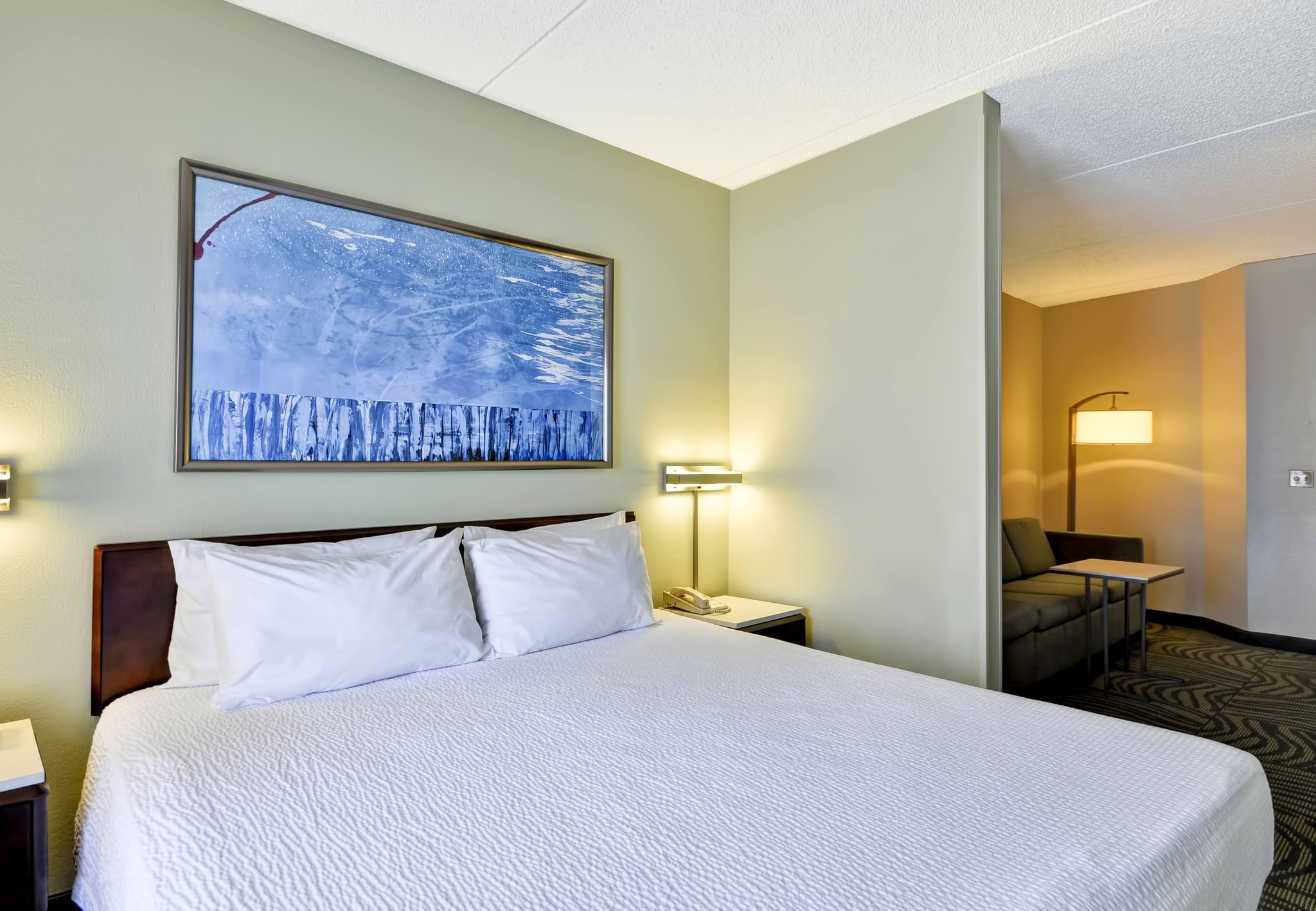 SpringHill Suites Austin Round Rock