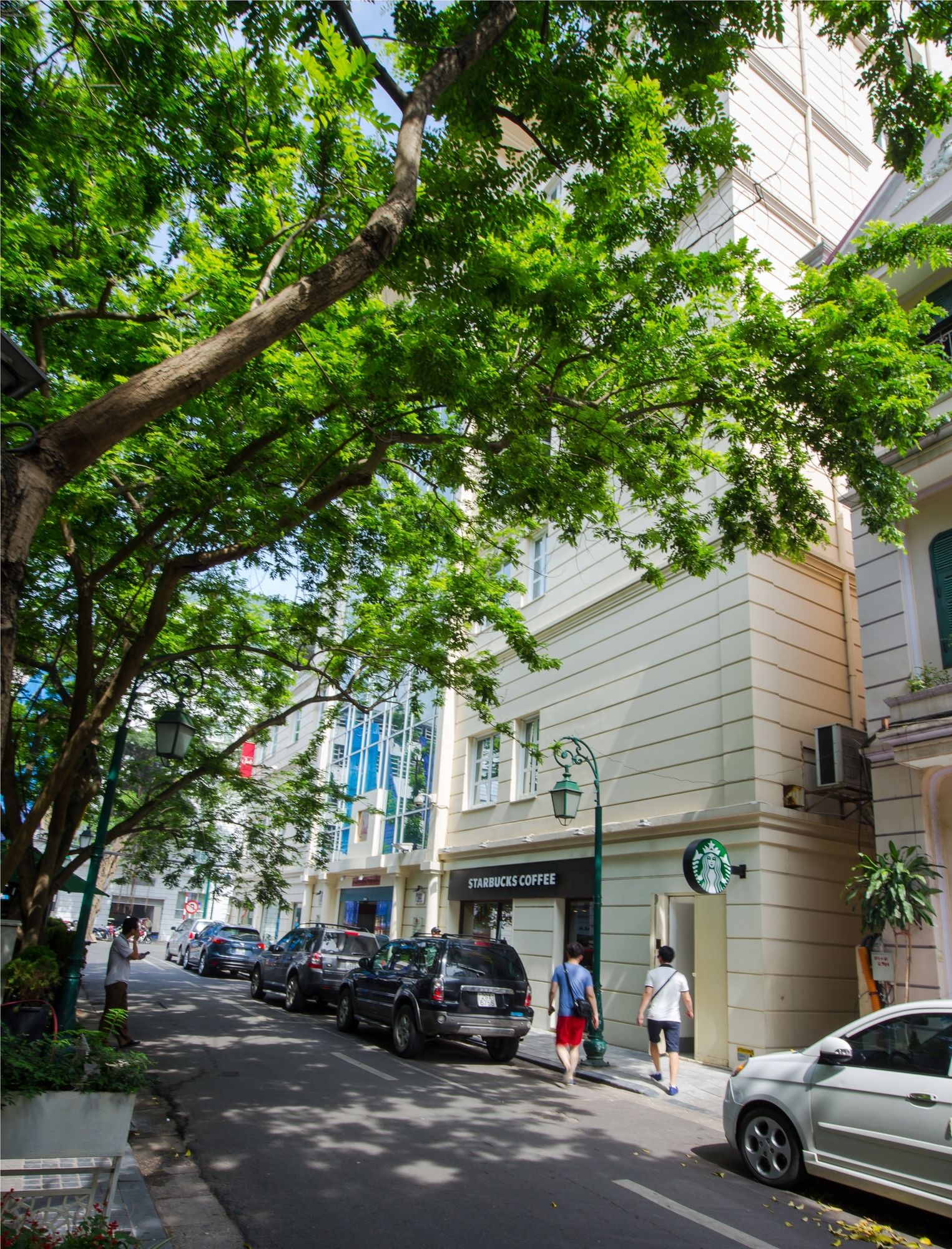 Conifer Boutique