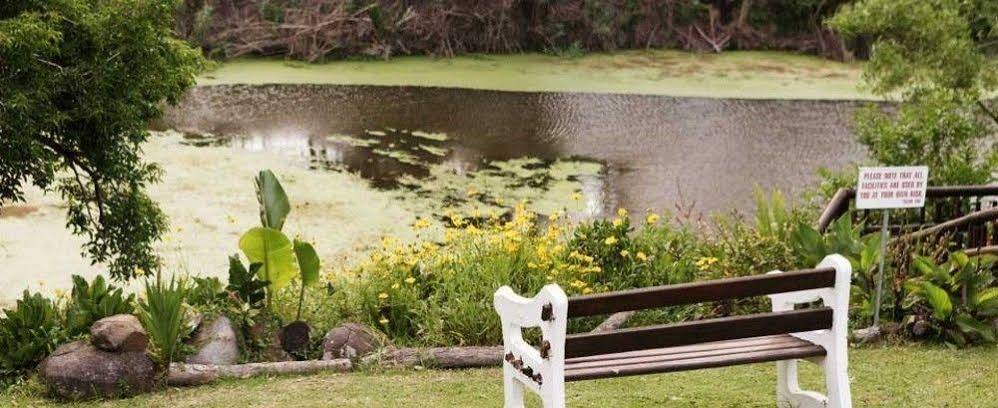 Fish Eagle Manor