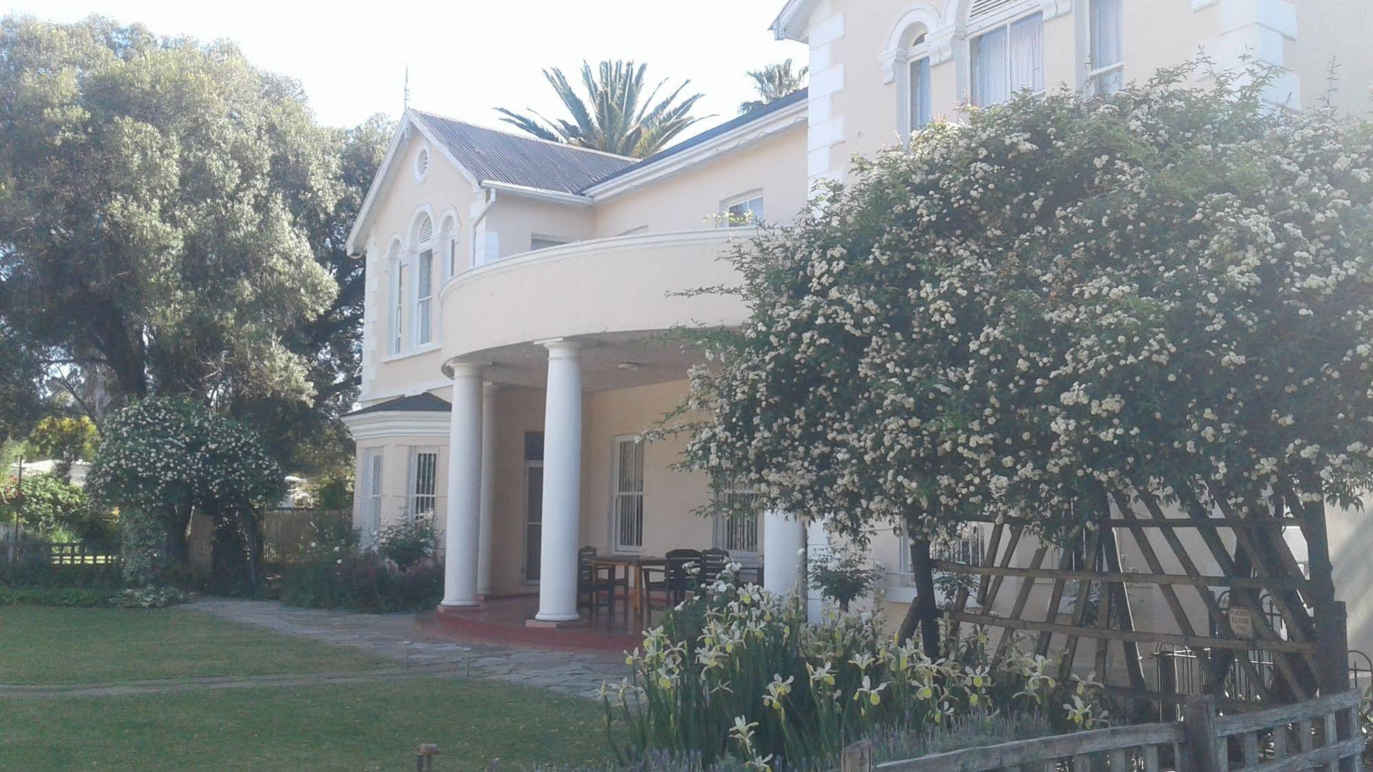 Albert House B&B