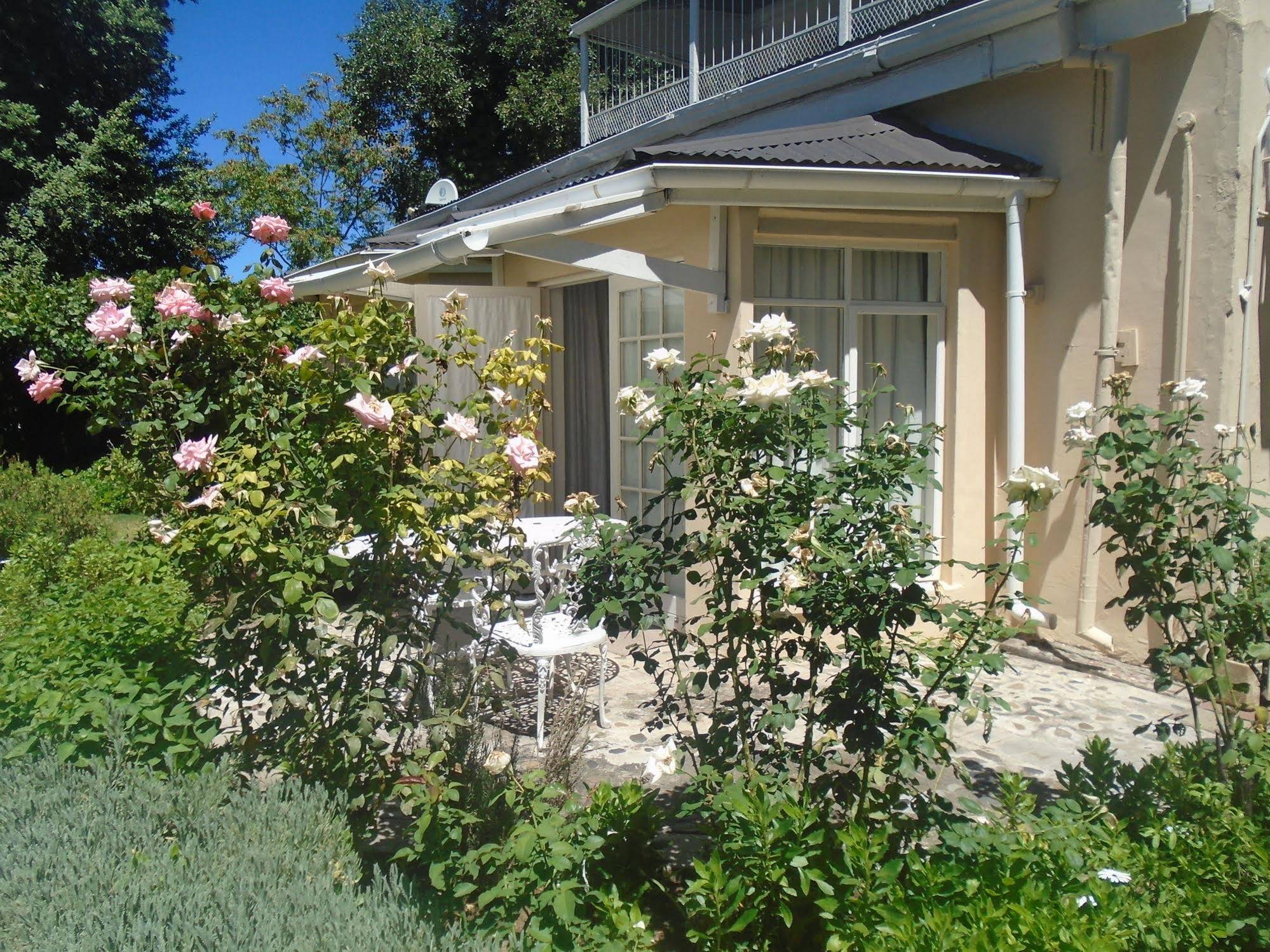 Albert House B&B