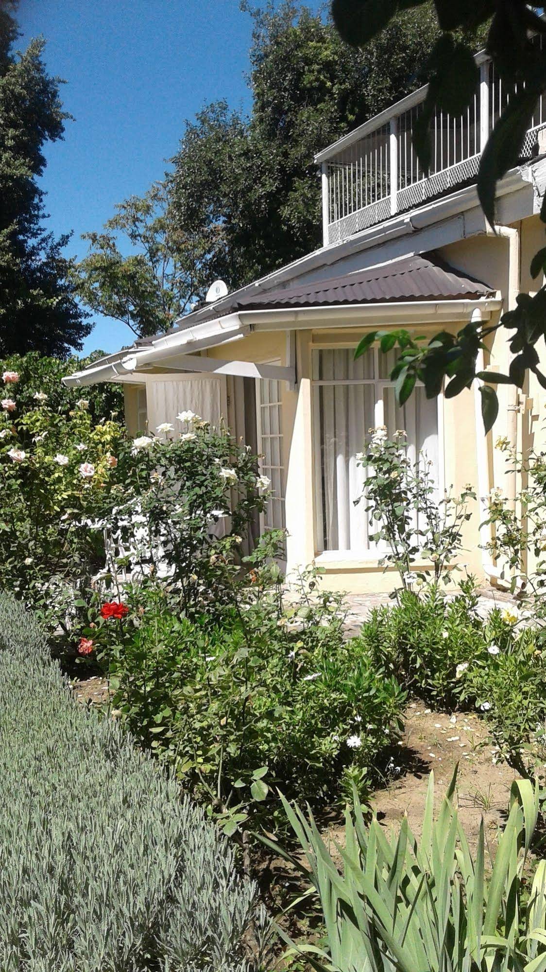 Albert House B&B