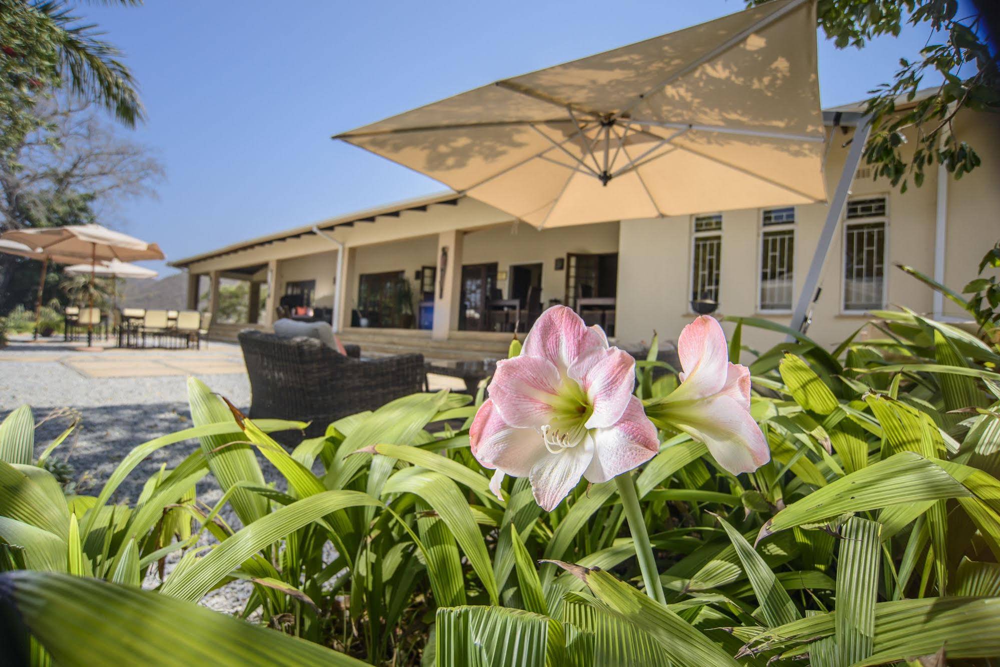 Abangane Guest Lodge