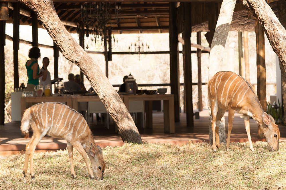 Moditlo River Lodge