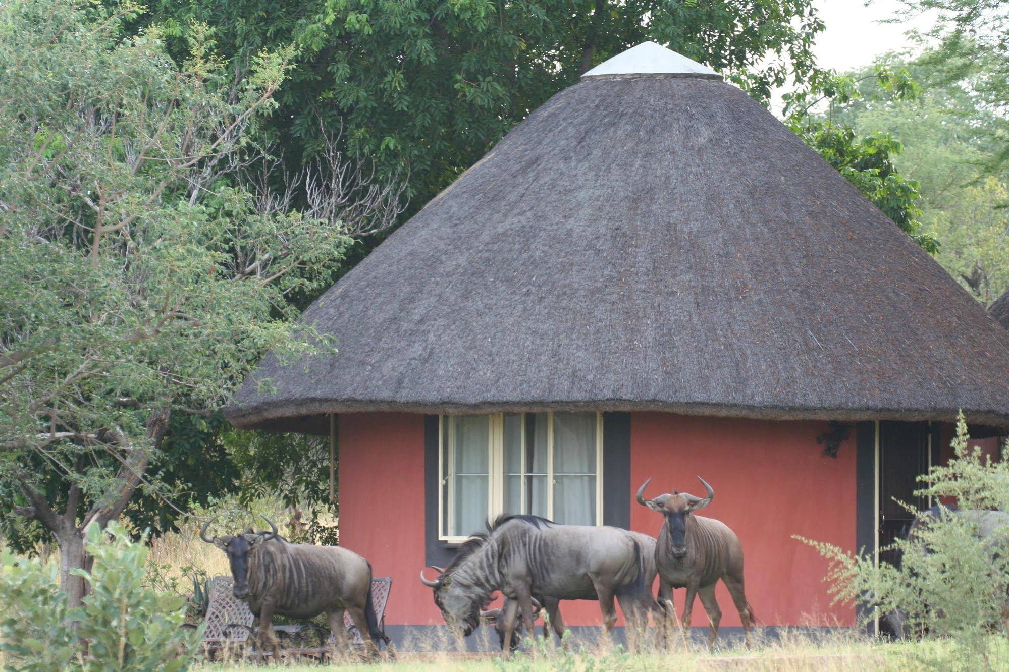 Mohlabetsi Safari Lodge