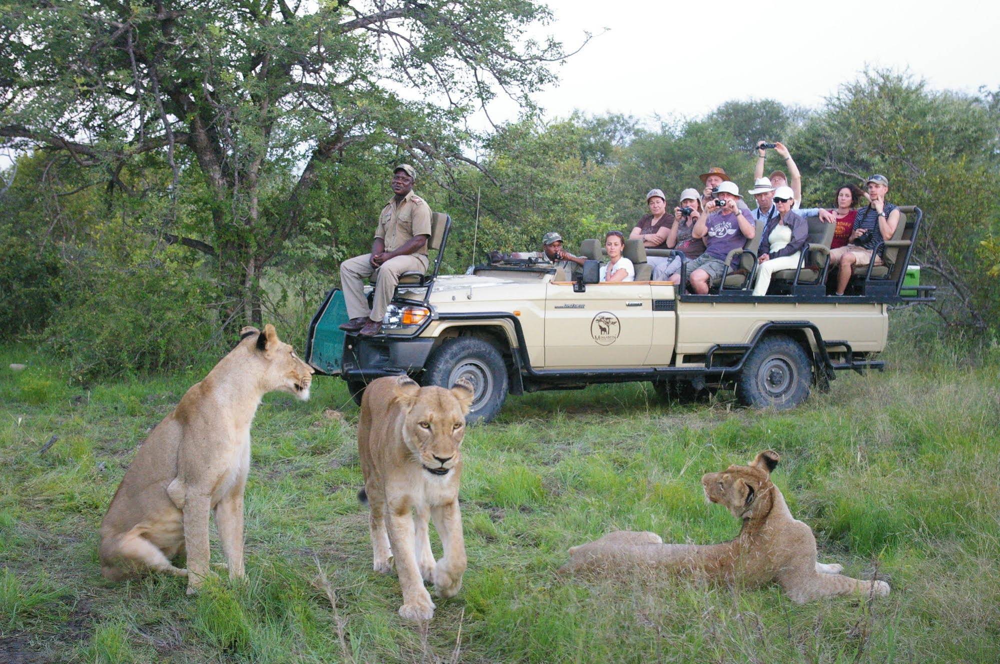 Mohlabetsi Safari Lodge