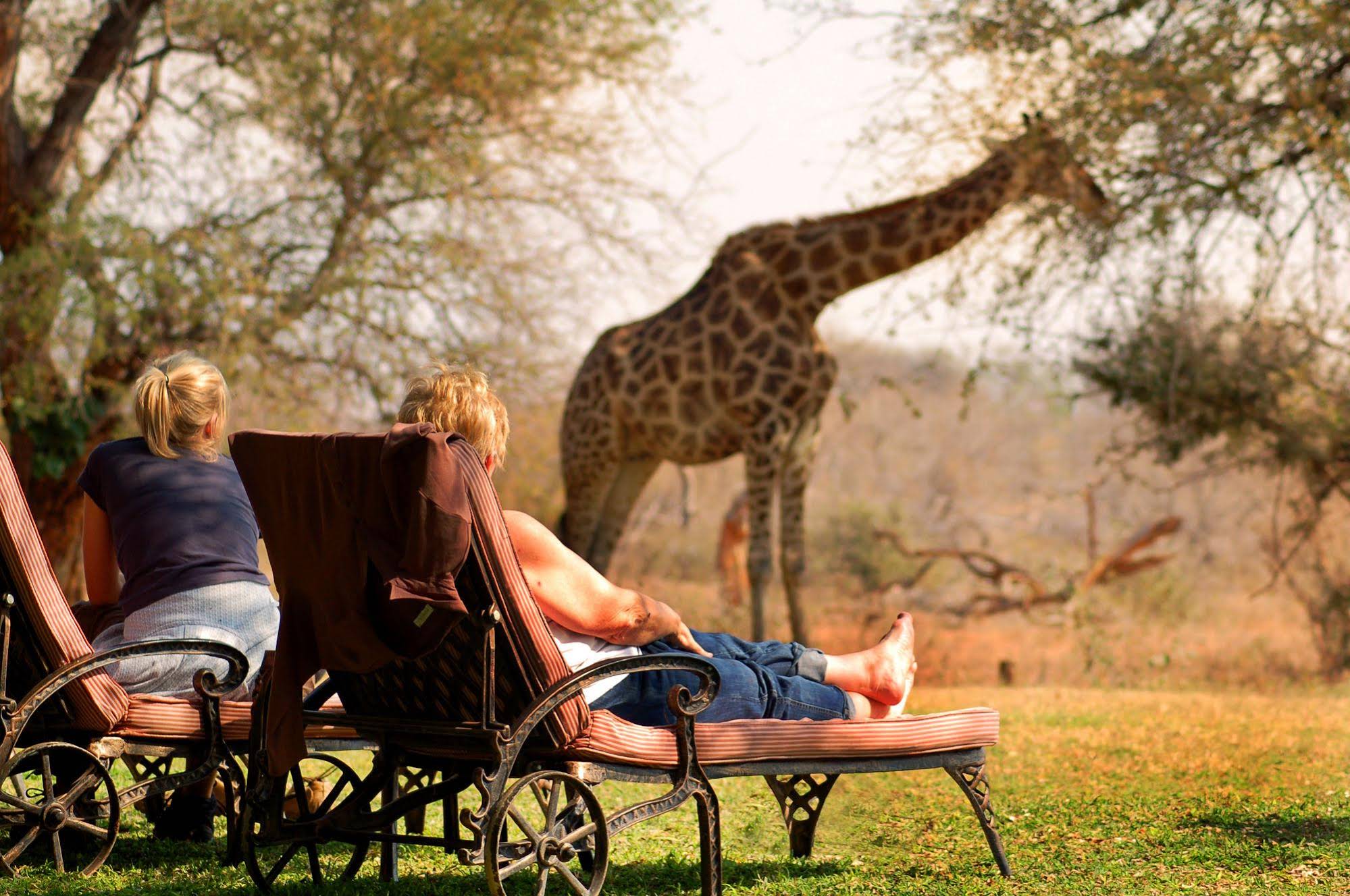Mohlabetsi Safari Lodge
