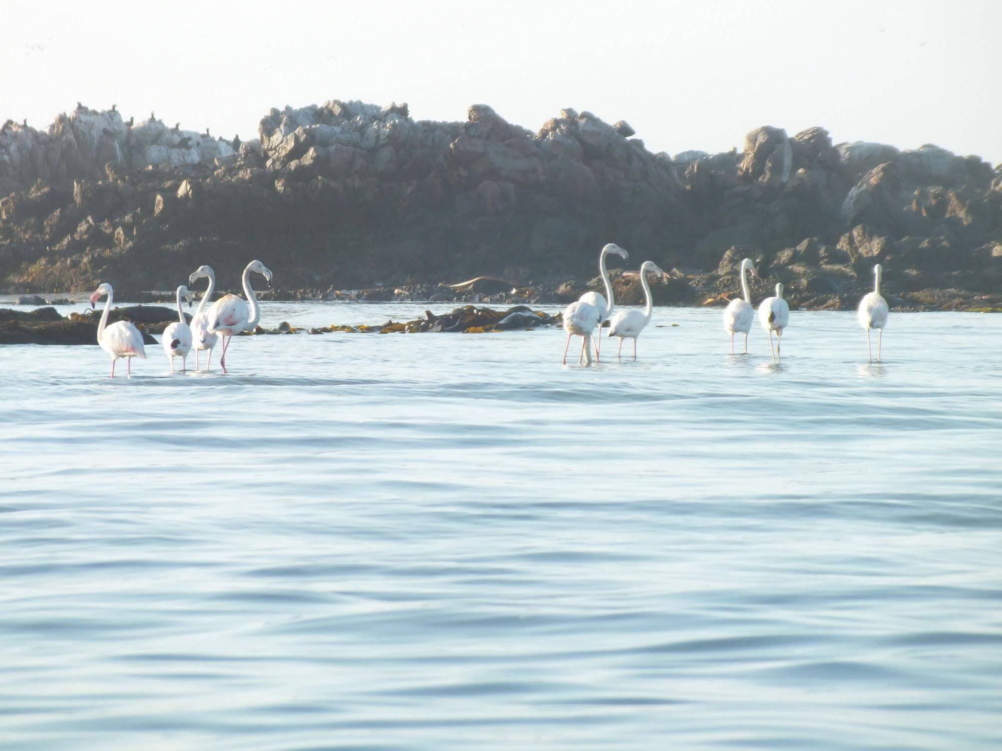 Voetbaai Chalets
