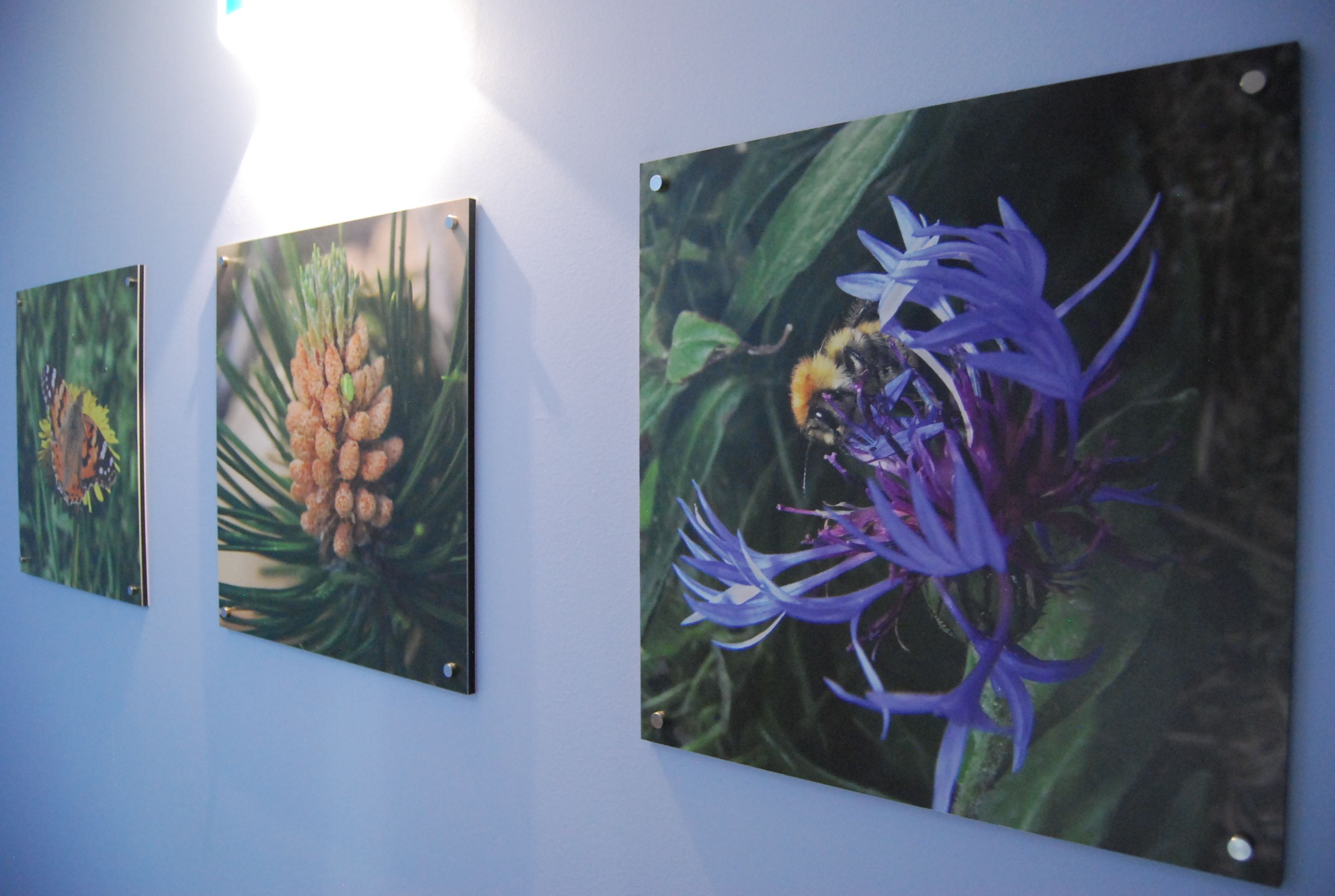 Del Meligar Del Meligar