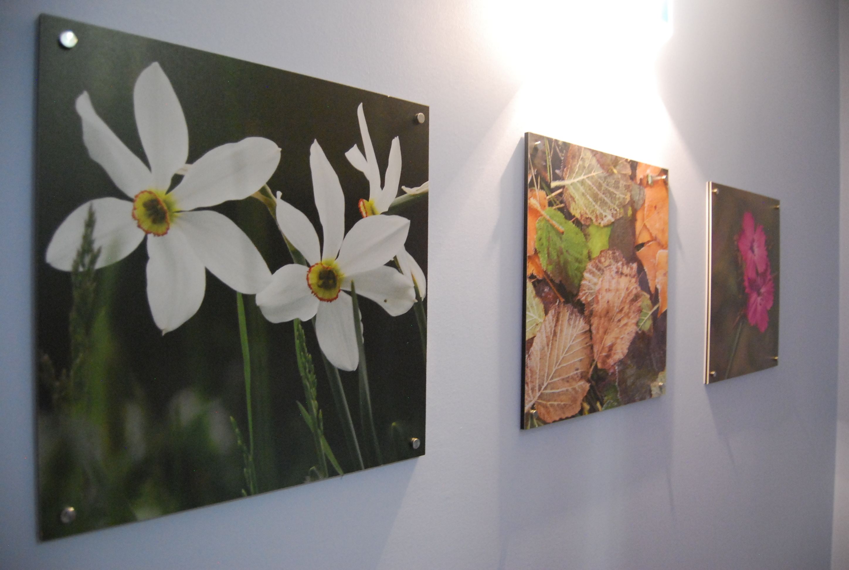 Del Meligar Del Meligar