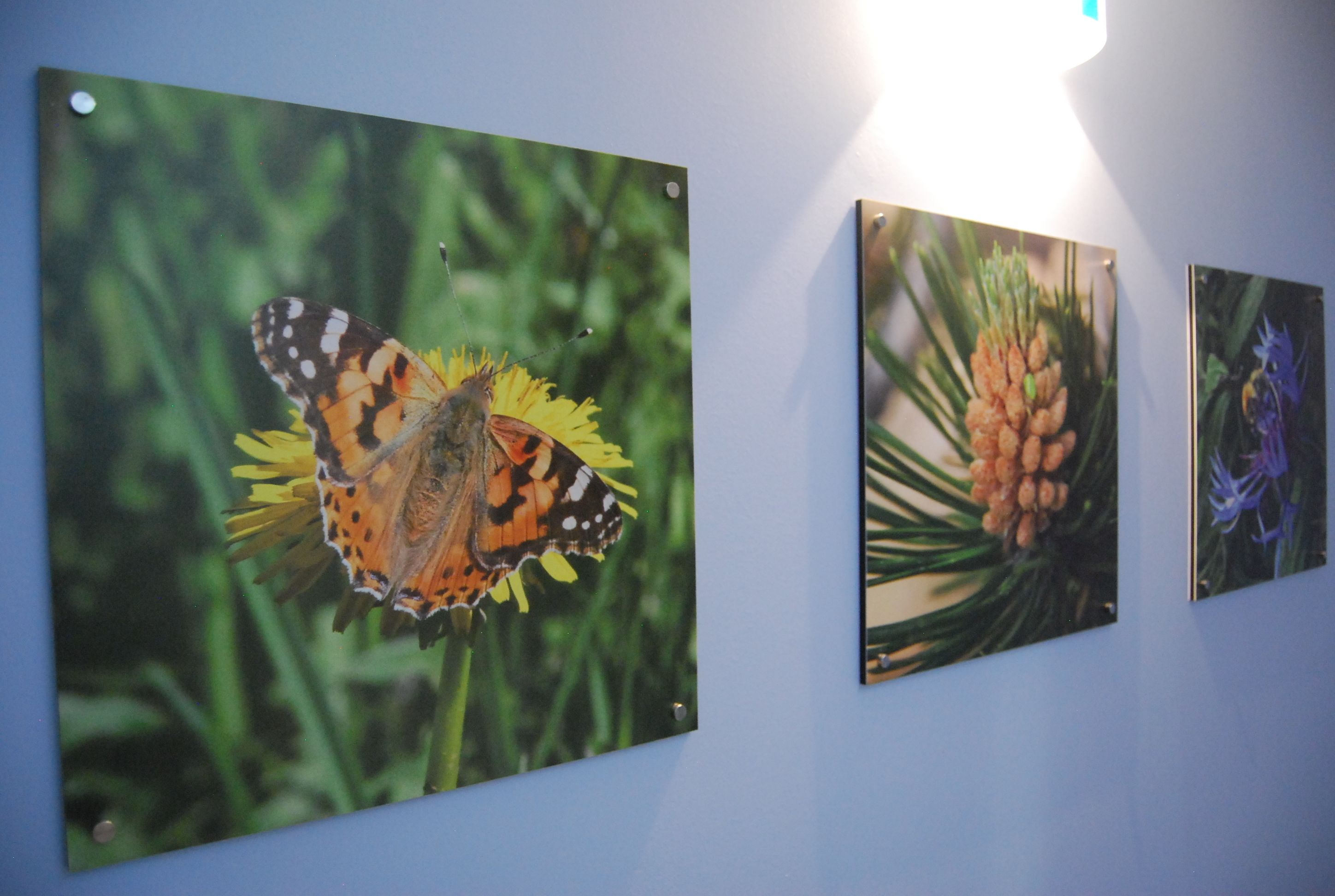 Del Meligar Del Meligar