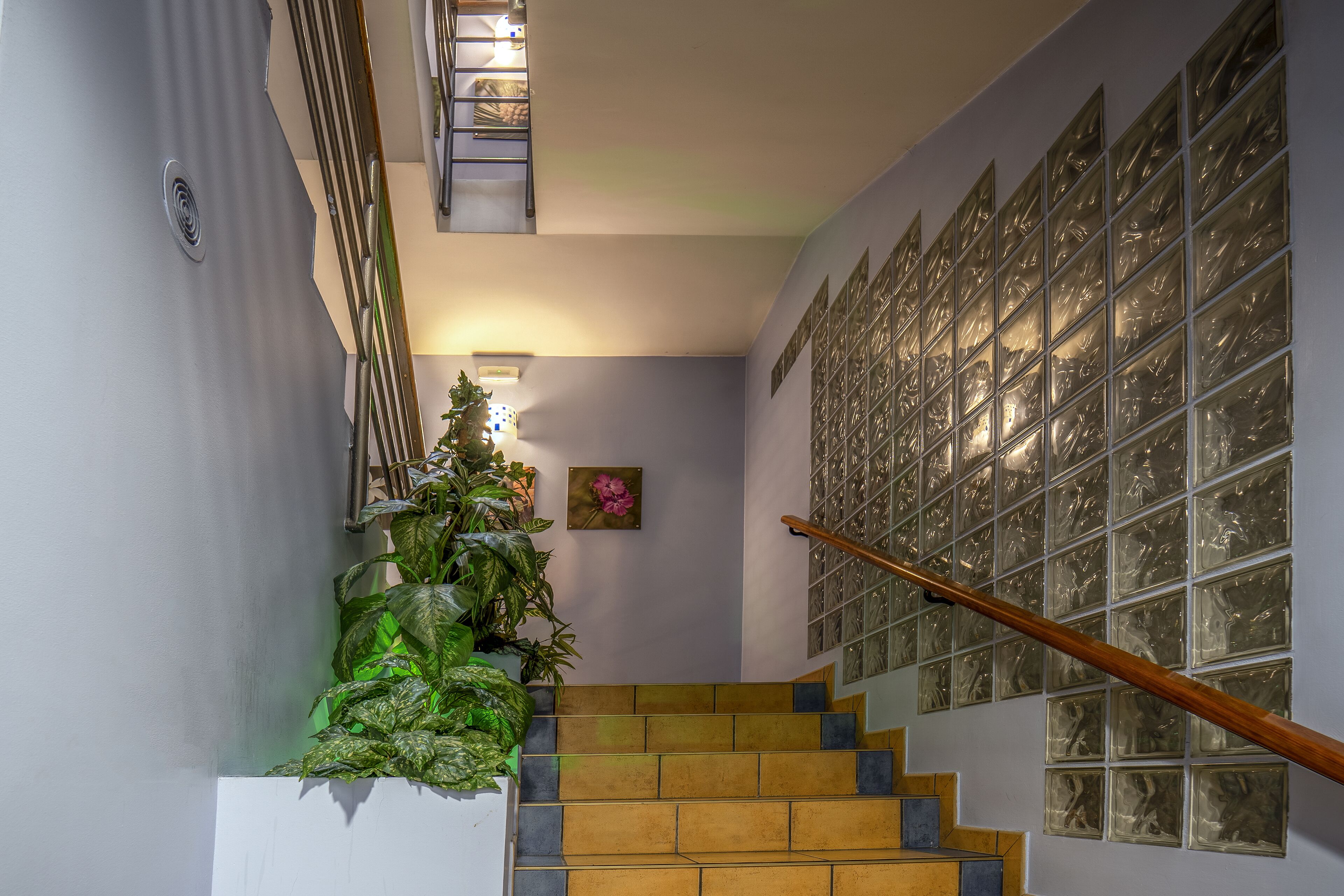 Del Meligar Del Meligar