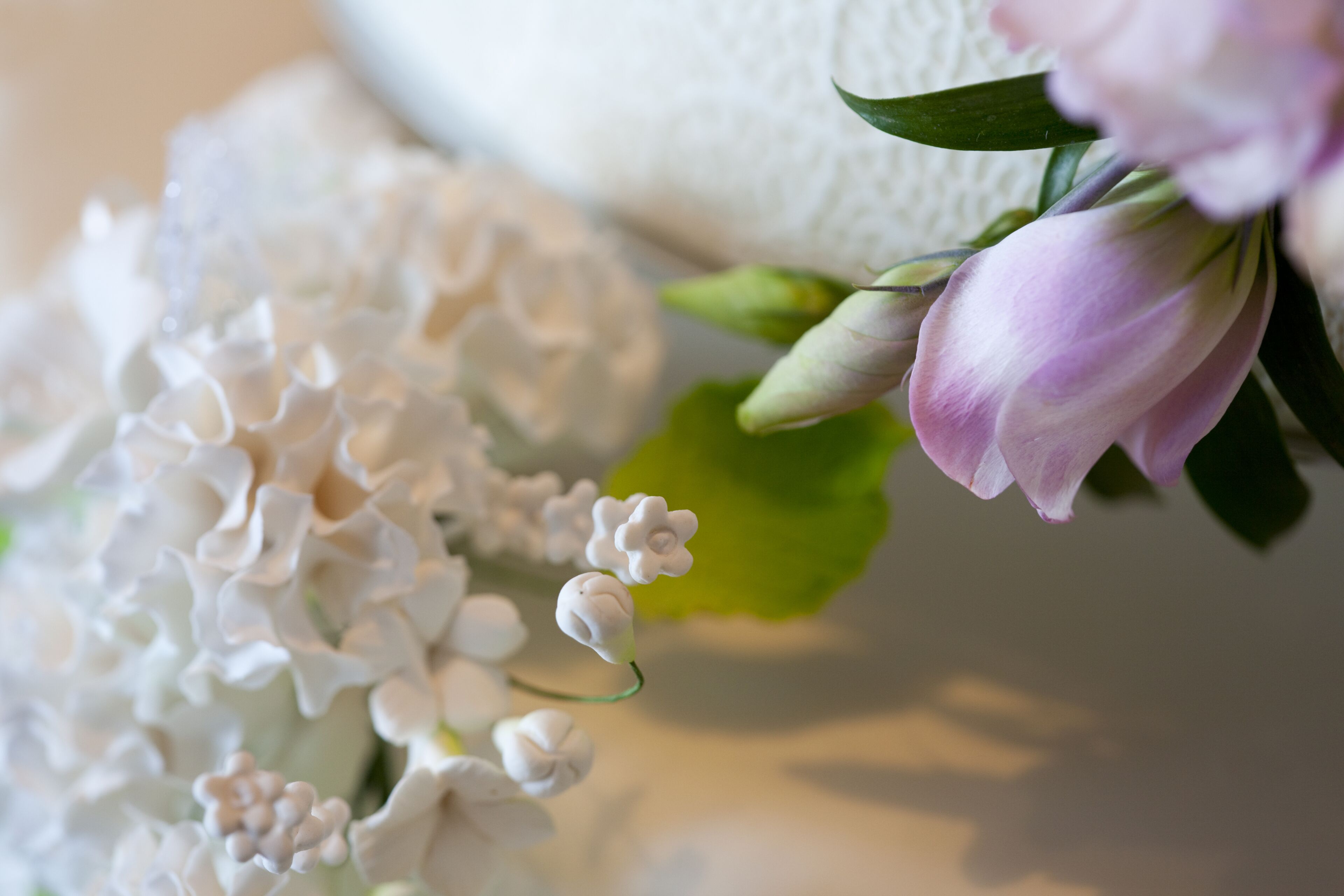 Rosewood Abu Dhabi Rosewood Abu Dhabi