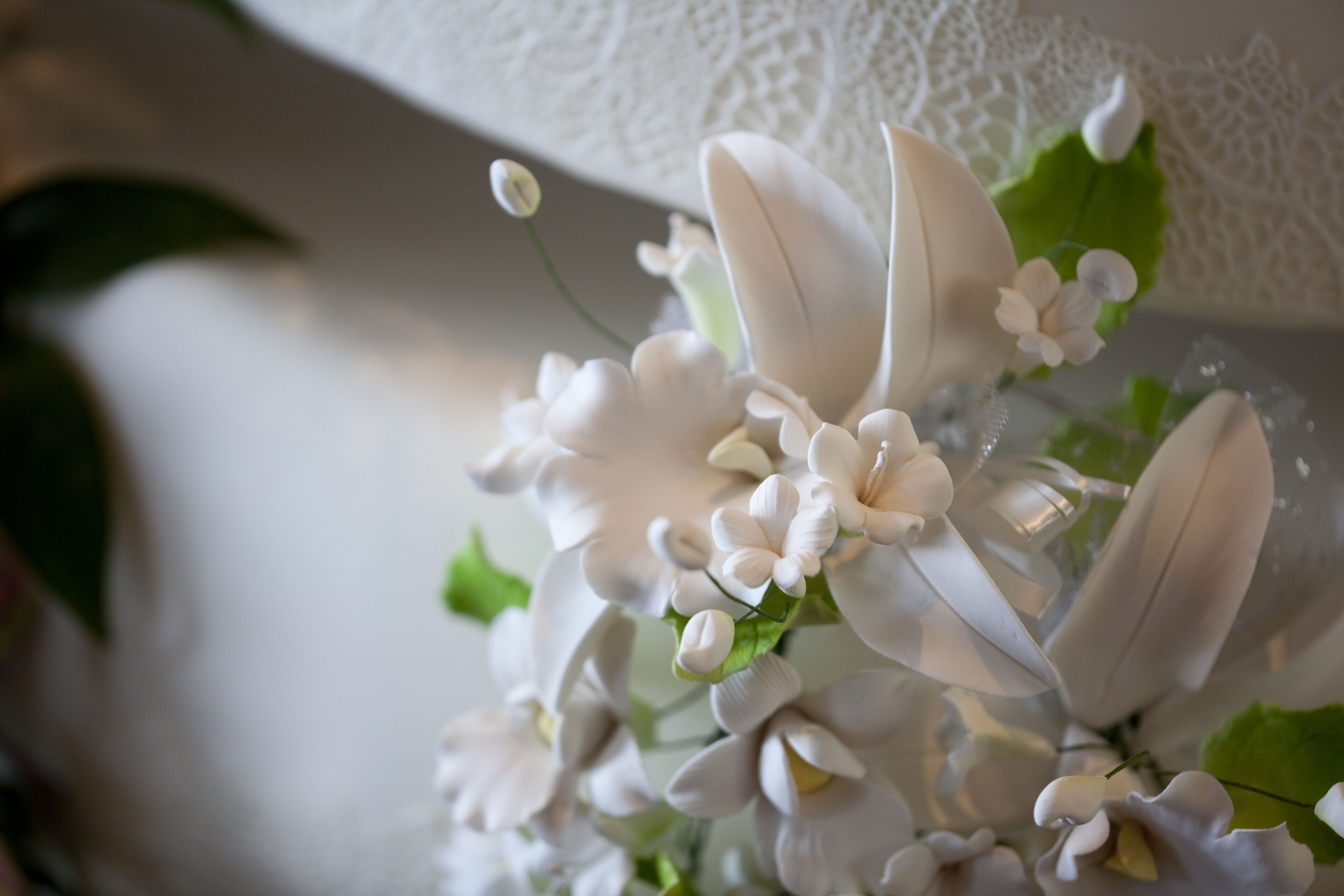 Rosewood Abu Dhabi Rosewood Abu Dhabi