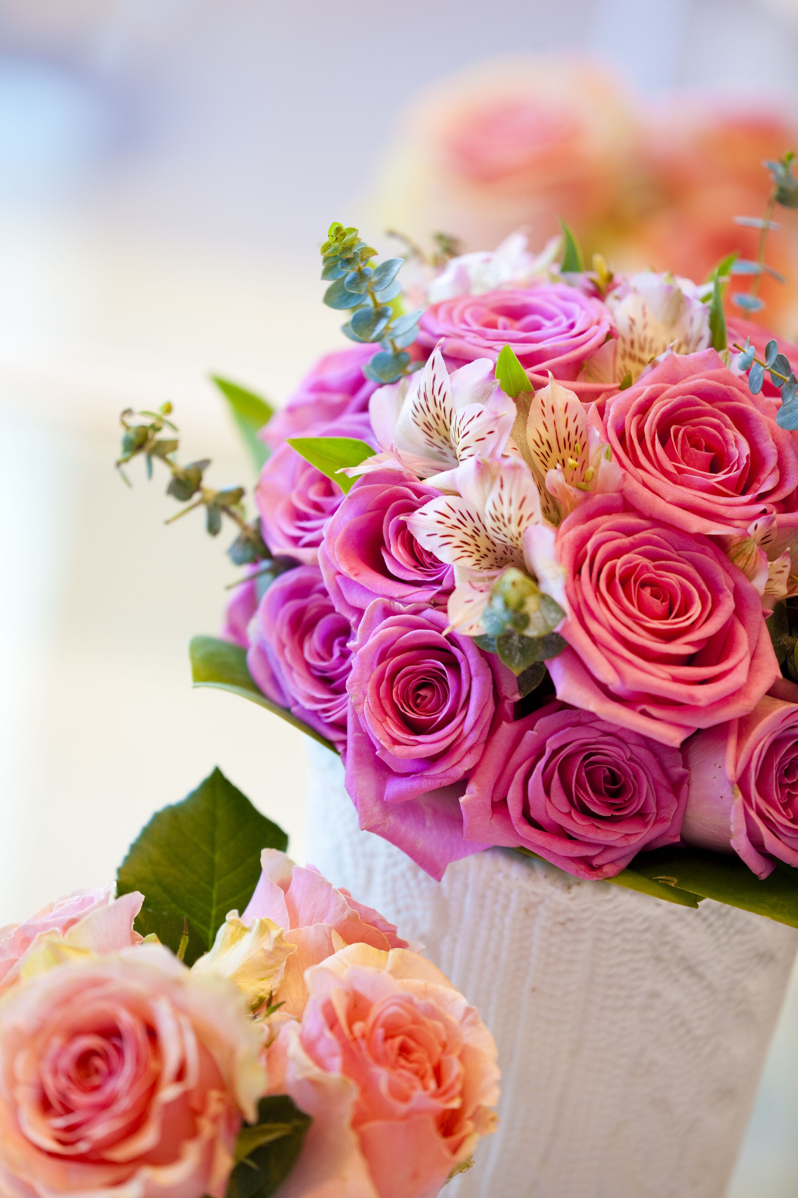 Rosewood Abu Dhabi Rosewood Abu Dhabi