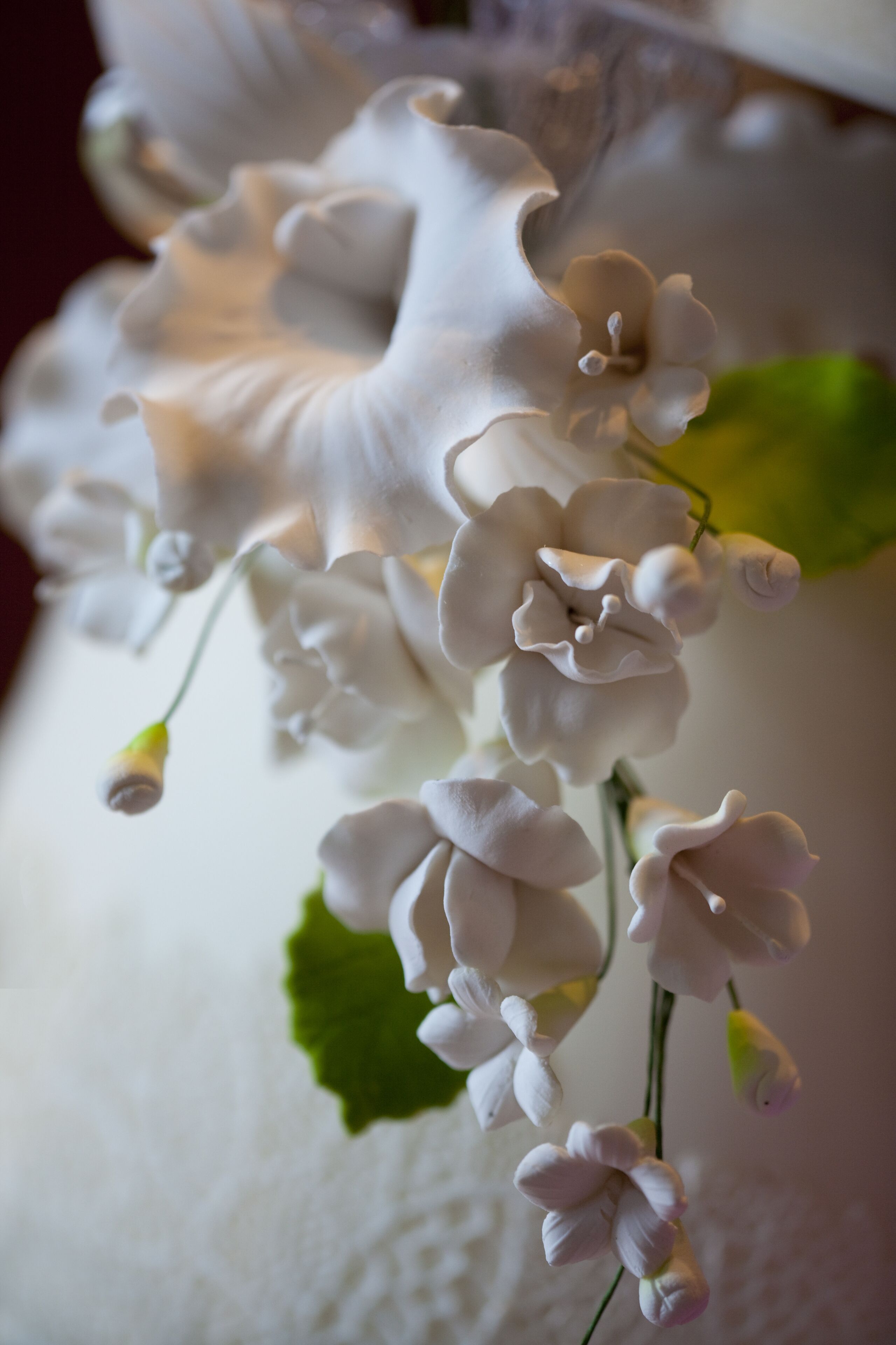 Rosewood Abu Dhabi Rosewood Abu Dhabi