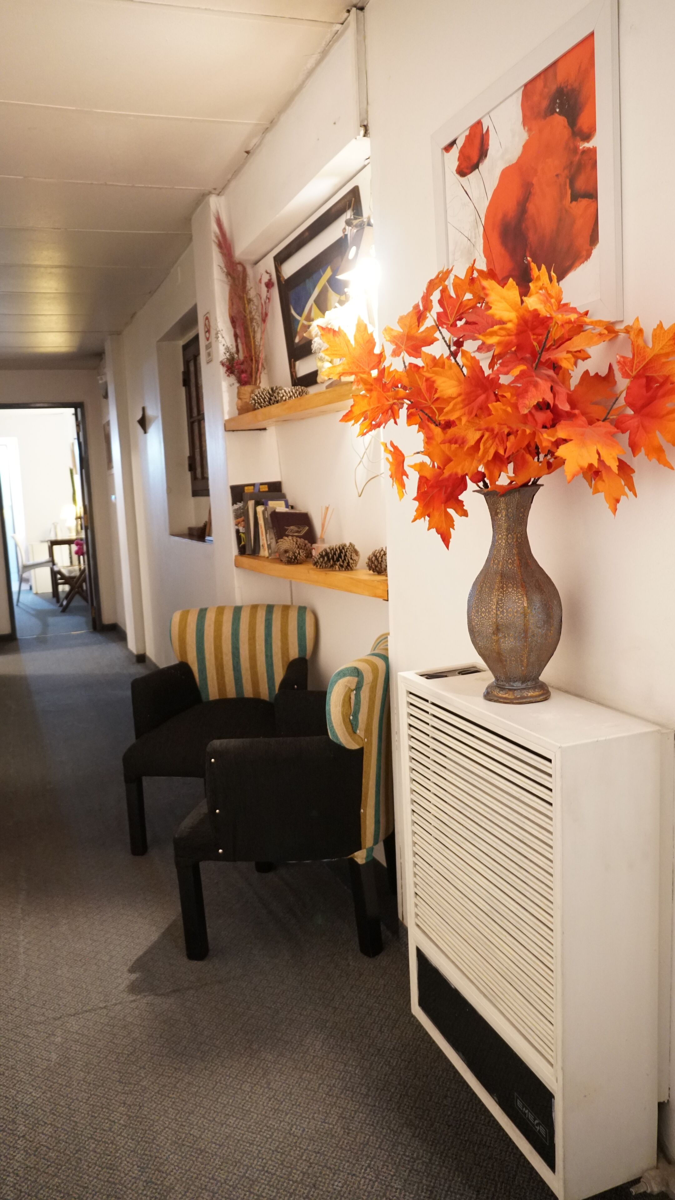 Hostel Mediterránea Córdoba Hostel Mediterránea Córdoba