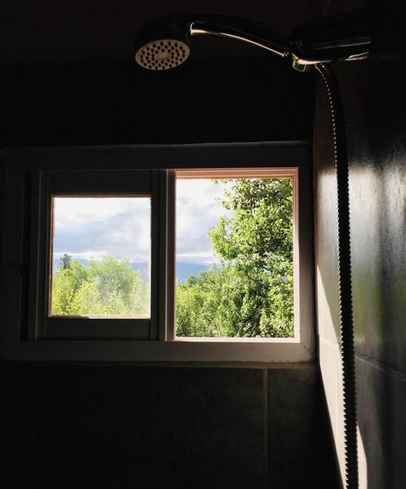 The Gringos The Gringos