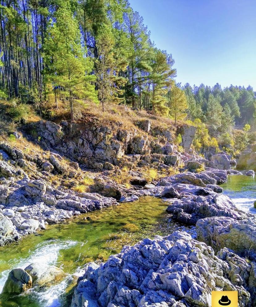 The Gringos The Gringos