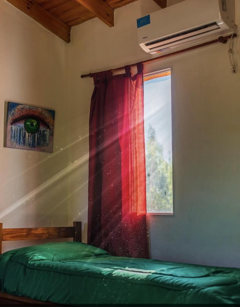 The Gringos The Gringos