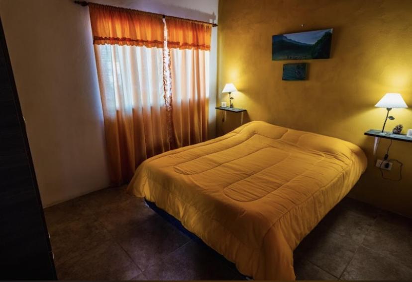 The Gringos The Gringos