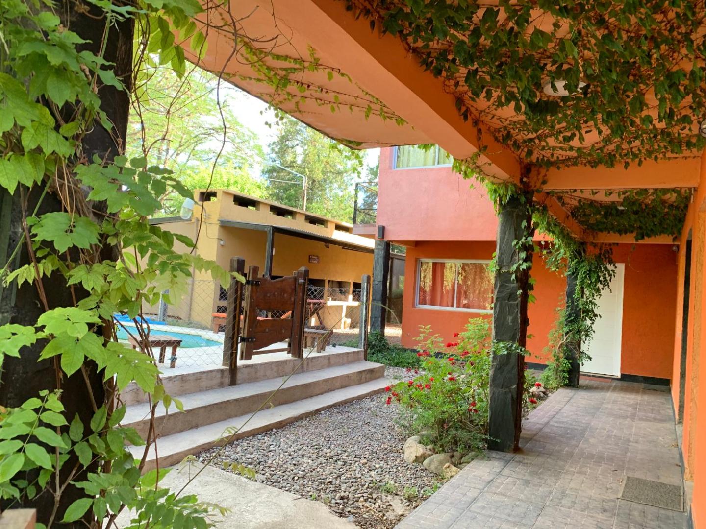 The Gringos The Gringos